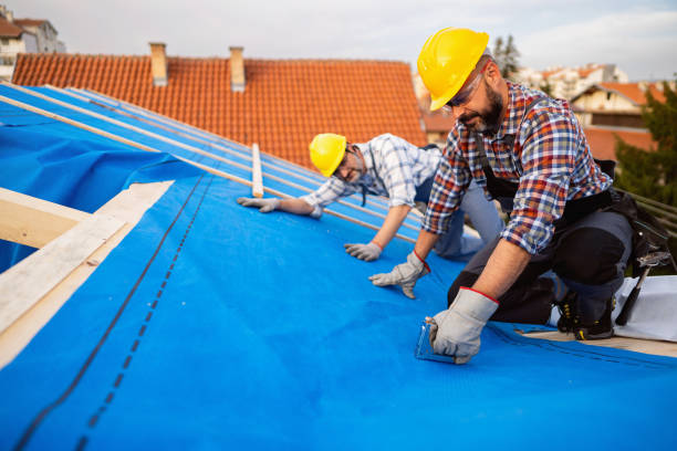 Best Metal Roofing Contractor  in Dupont, PA