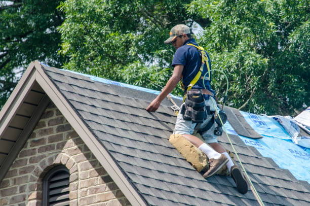 Best Roof Gutter Cleaning  in Dupont, PA
